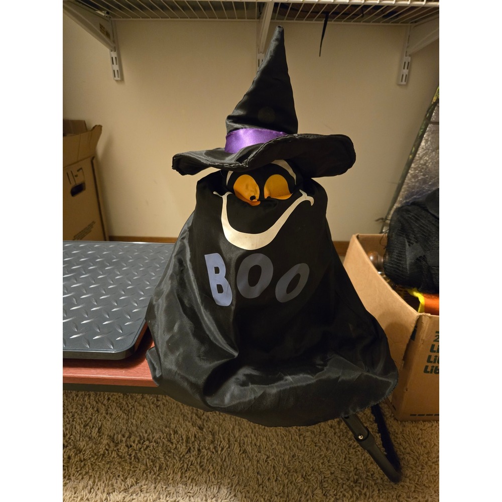 Halloween Animated Ghost Witch Boo Spooky Motion Sound Decor Black Purple